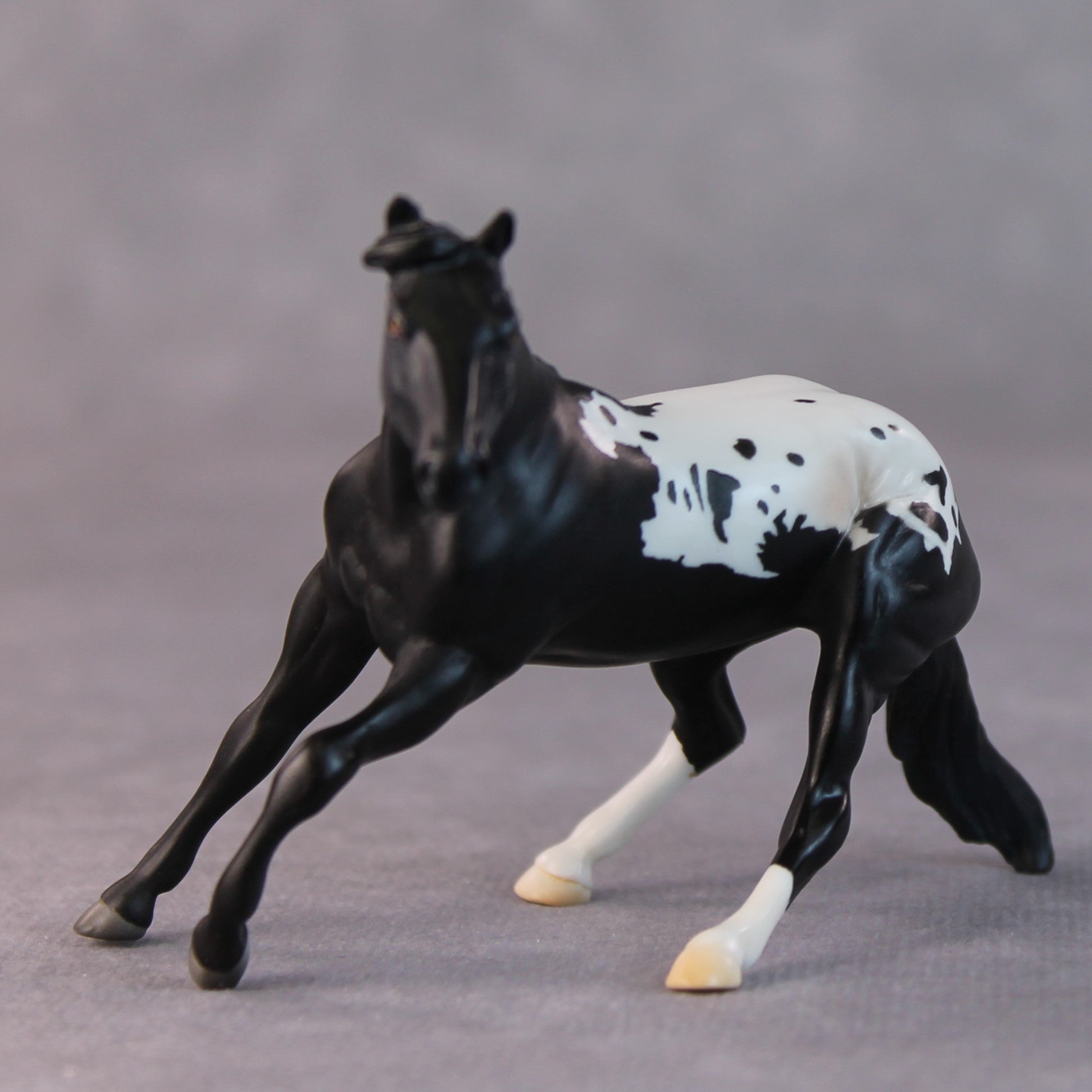 Lisa OOAK Black Appaloosa Cutter Chip By Jamie Adamson HS24 Online Drawing OOAK