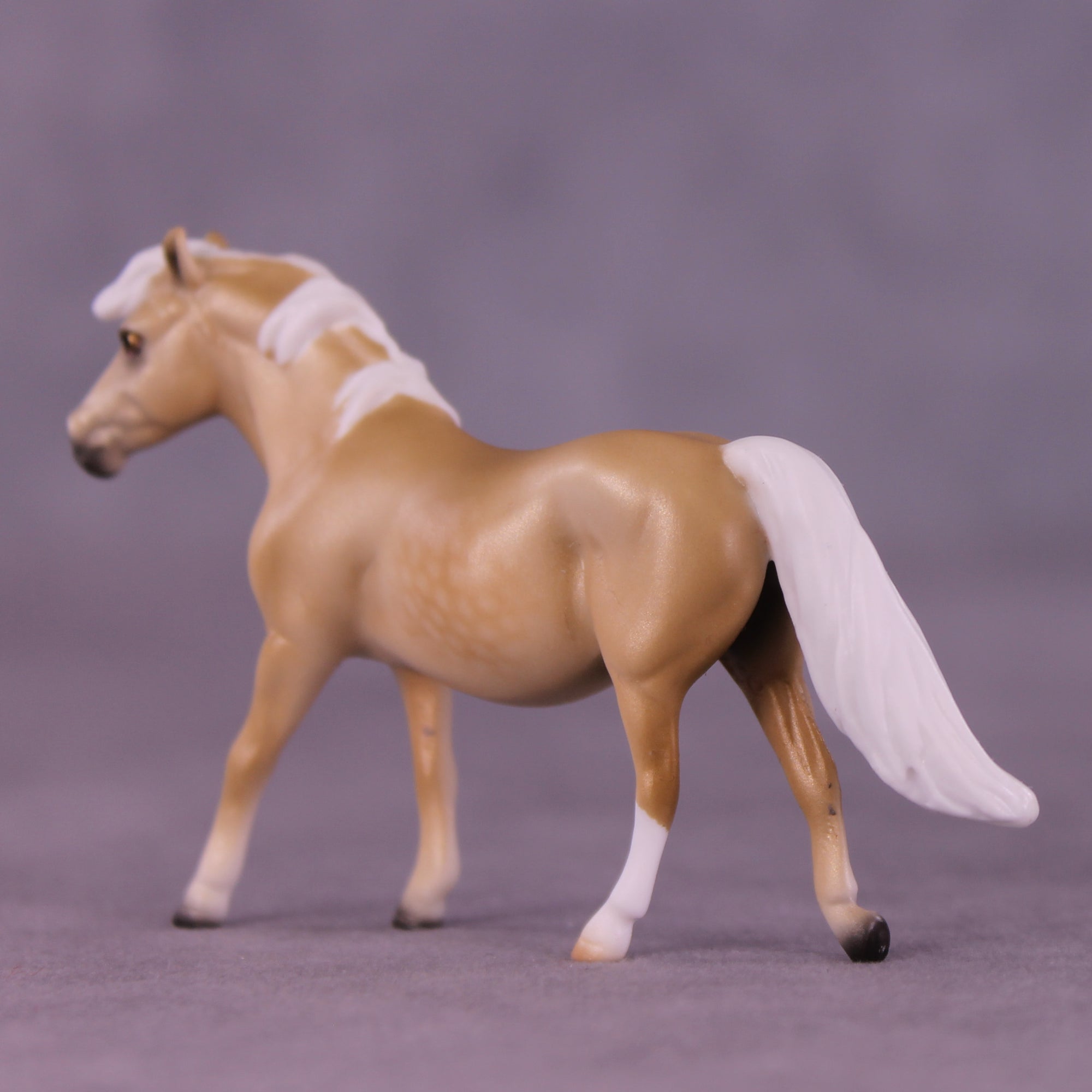Lachesis LE-10 Chip Pony by Ellen Robbins CL25