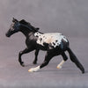 Lisa OOAK Black Appaloosa Cutter Chip By Jamie Adamson HS24 Online Drawing OOAK
