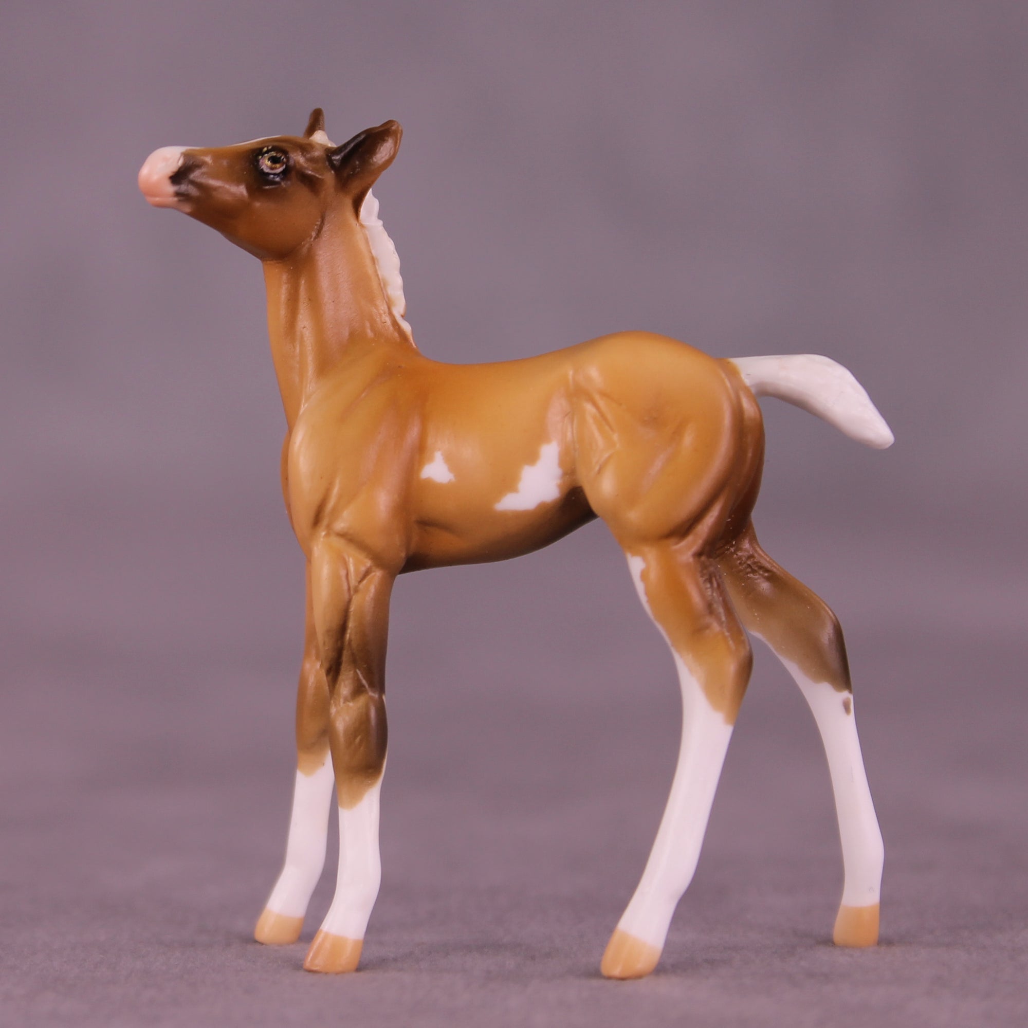 Shortbread LE-5 Chip Foal by Kike (Enrique) Duarte December $99 Chips