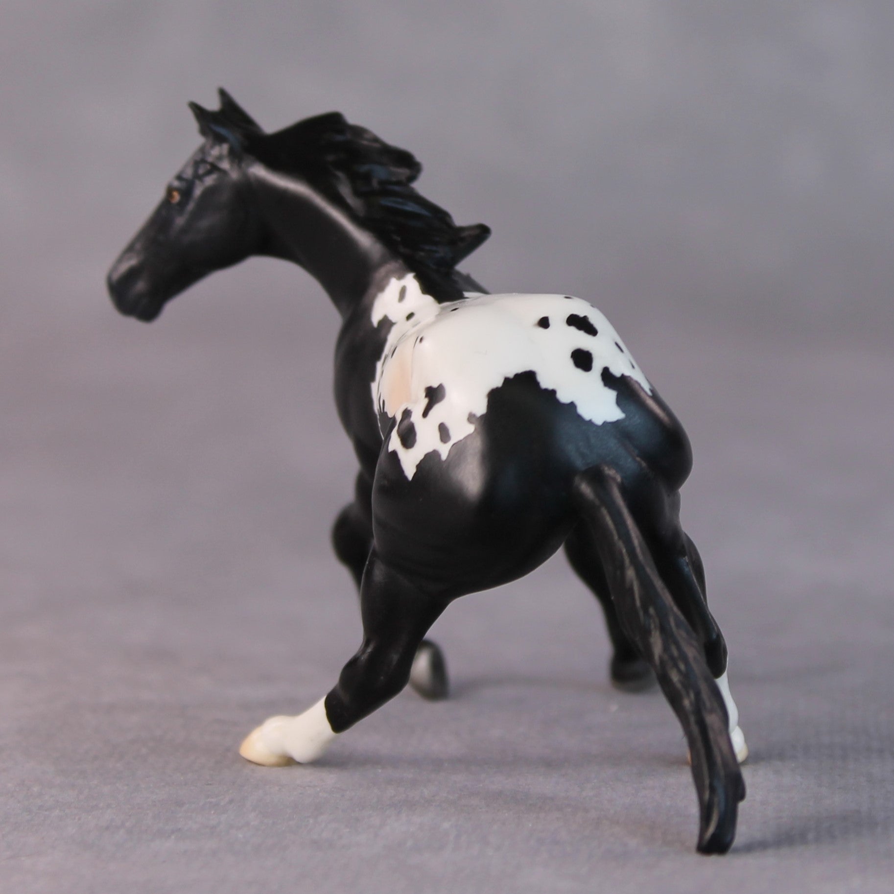 Lisa OOAK Black Appaloosa Cutter Chip By Jamie Adamson HS24 Online Drawing OOAK