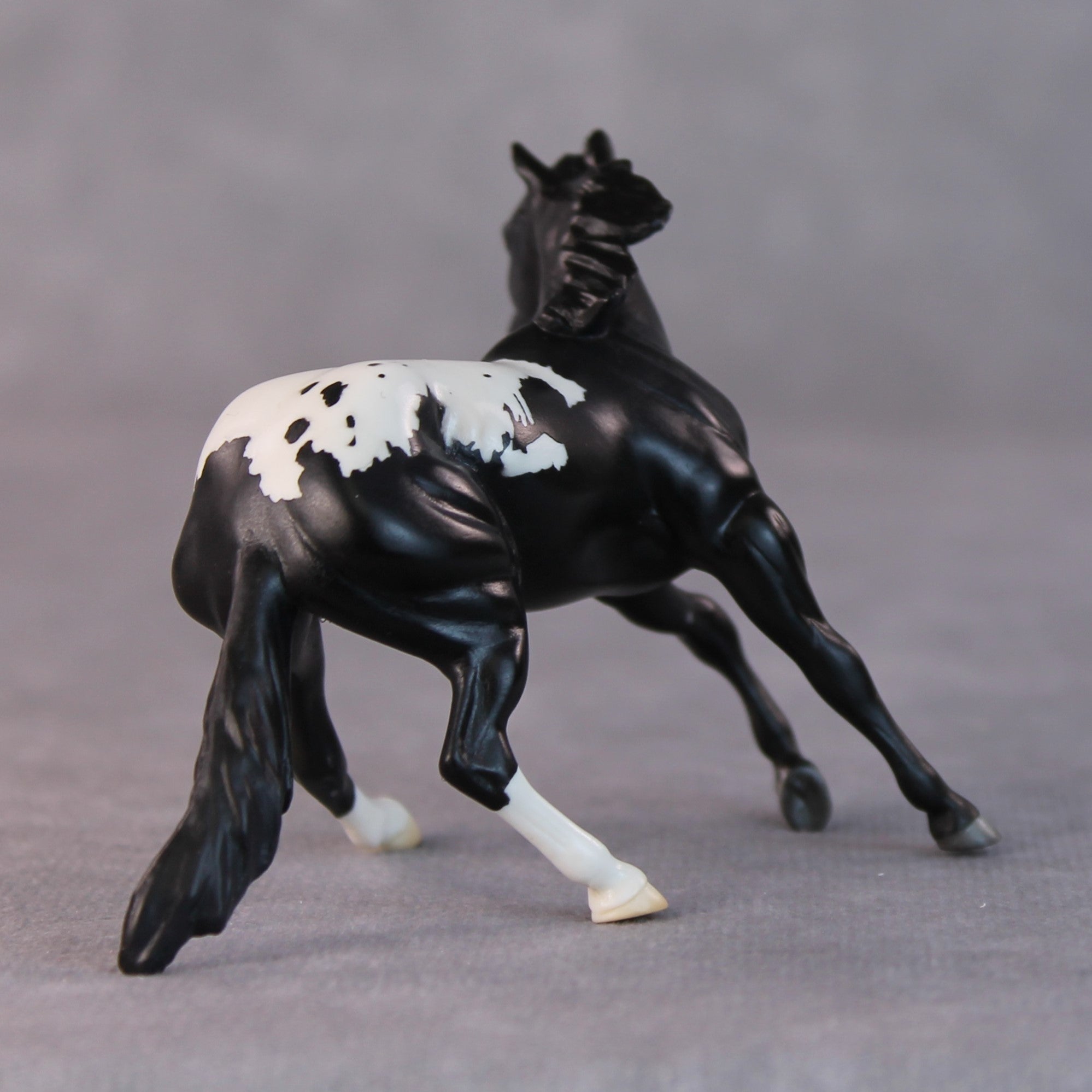Lisa OOAK Black Appaloosa Cutter Chip By Jamie Adamson HS24 Online Drawing OOAK