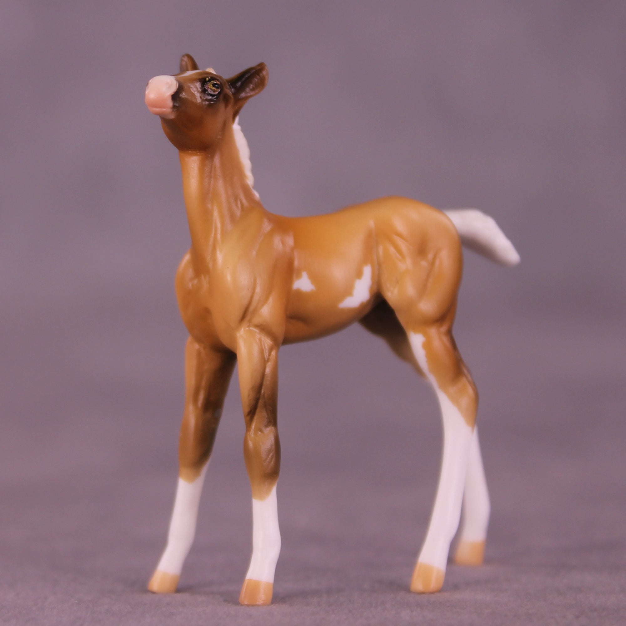 Shortbread LE-5 Chip Foal by Kike (Enrique) Duarte December $99 Chips