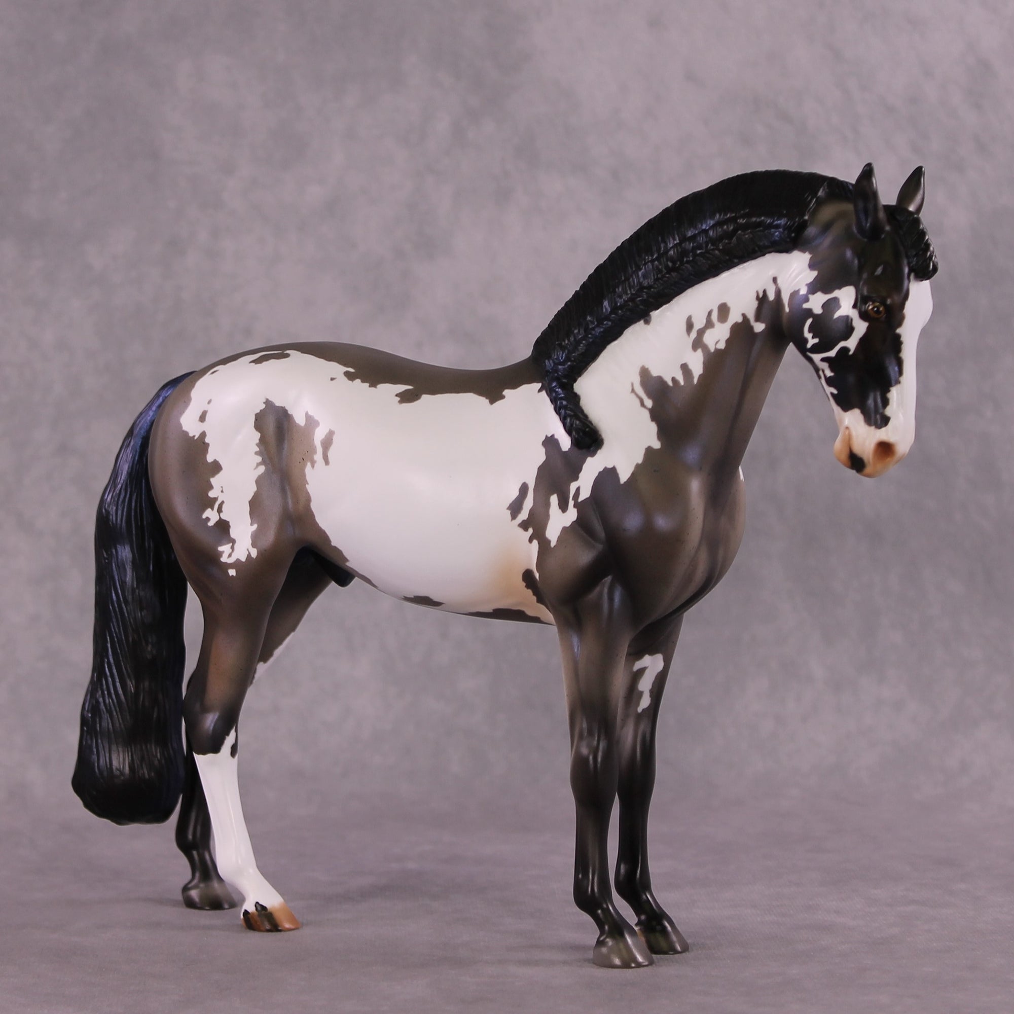 "Ptolemaea" OOAK Andalusian by Julie Keim SHCF25