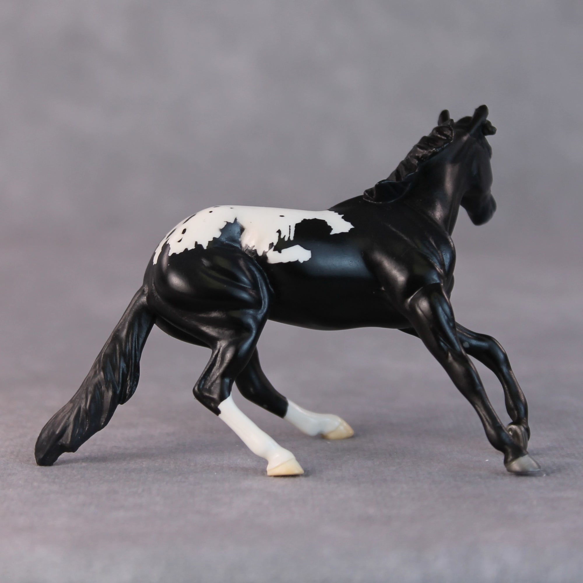 Lisa OOAK Black Appaloosa Cutter Chip By Jamie Adamson HS24 Online Drawing OOAK
