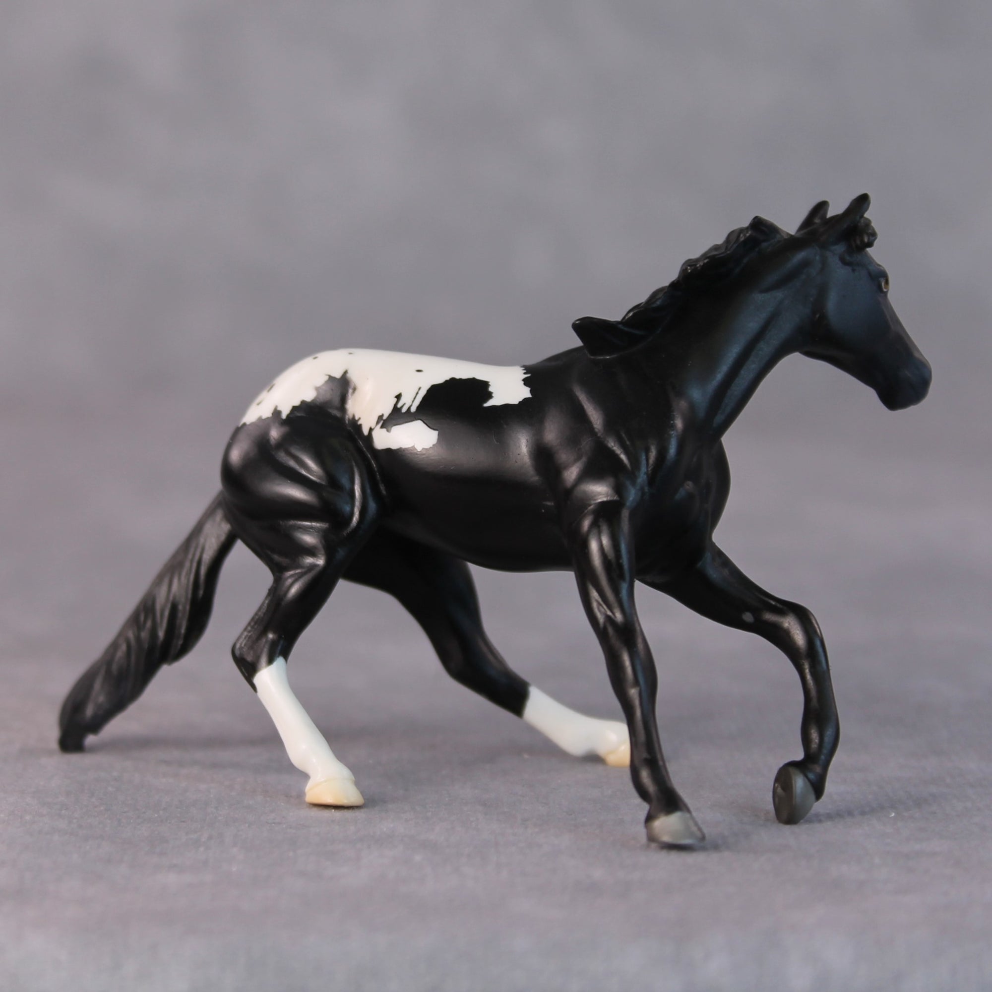 Lisa OOAK Black Appaloosa Cutter Chip By Jamie Adamson HS24 Online Drawing OOAK