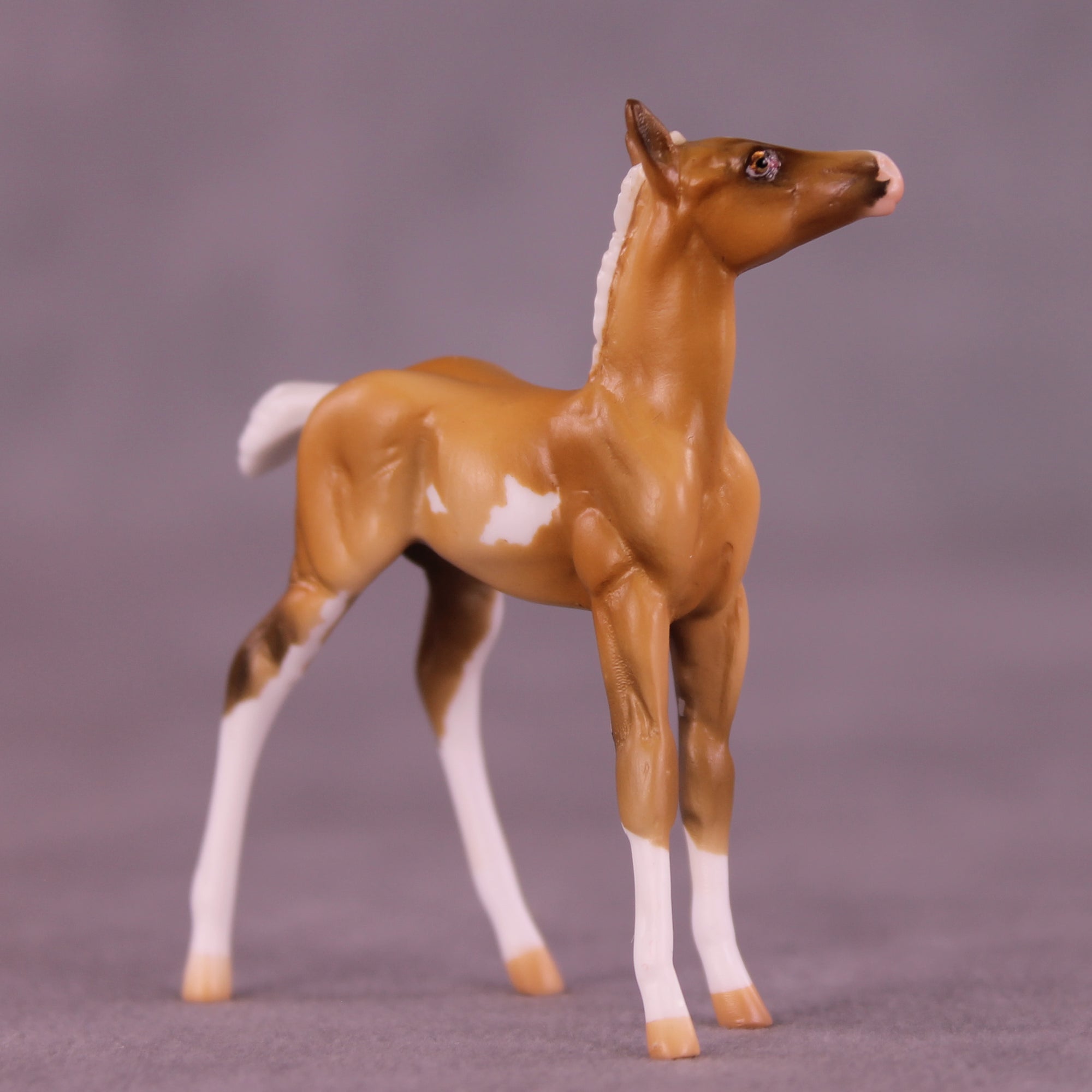 Shortbread LE-5 Chip Foal by Kike (Enrique) Duarte December $99 Chips