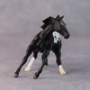 Lisa OOAK Black Appaloosa Cutter Chip By Jamie Adamson HS24 Online Drawing OOAK