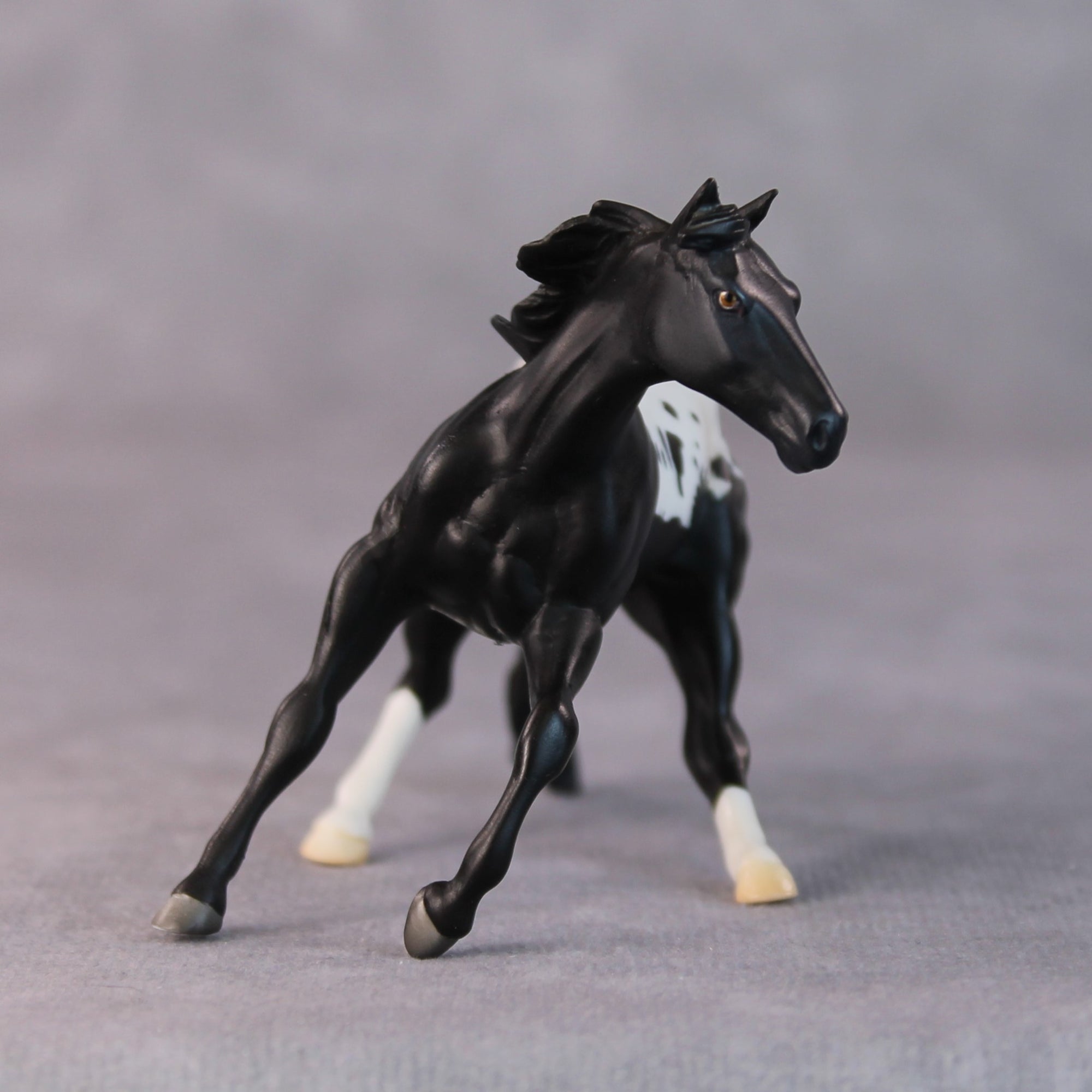 Lisa OOAK Black Appaloosa Cutter Chip By Jamie Adamson HS24 Online Drawing OOAK
