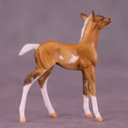 Shortbread LE-5 Chip Foal by Kike (Enrique) Duarte December $99 Chips