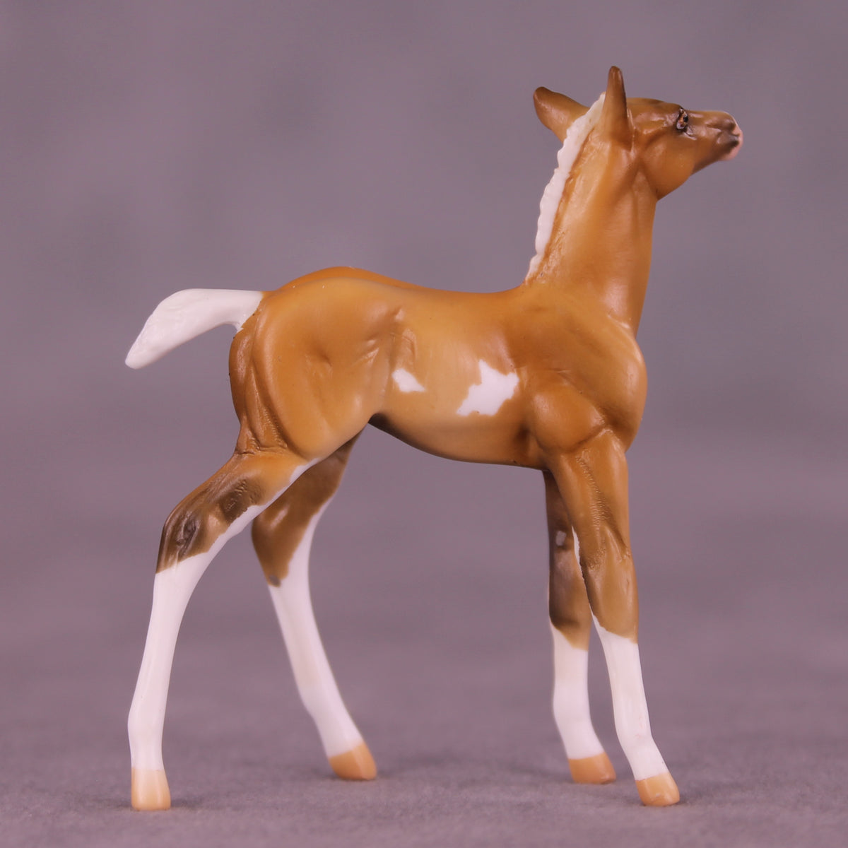 Shortbread LE-5 Chip Foal by Kike (Enrique) Duarte December $99 Chips