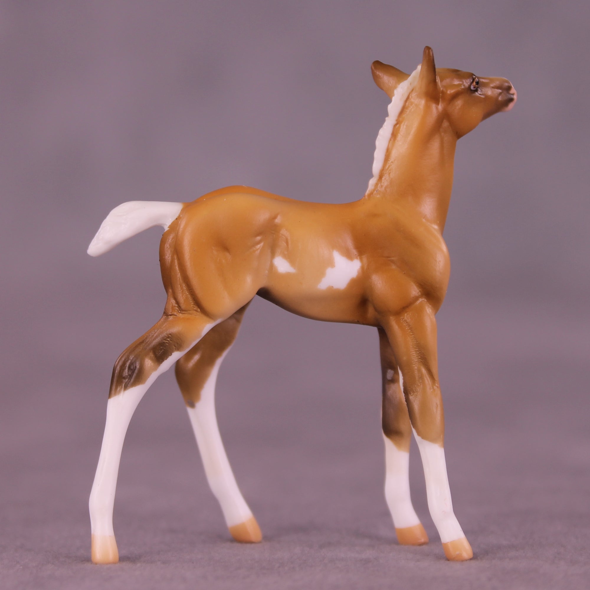 Shortbread LE-5 Chip Foal by Kike (Enrique) Duarte December $99 Chips