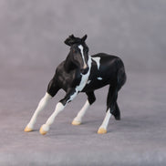 Rhonda OOAK Black Pinto Cutter Chip By Jamie Adamson HS24