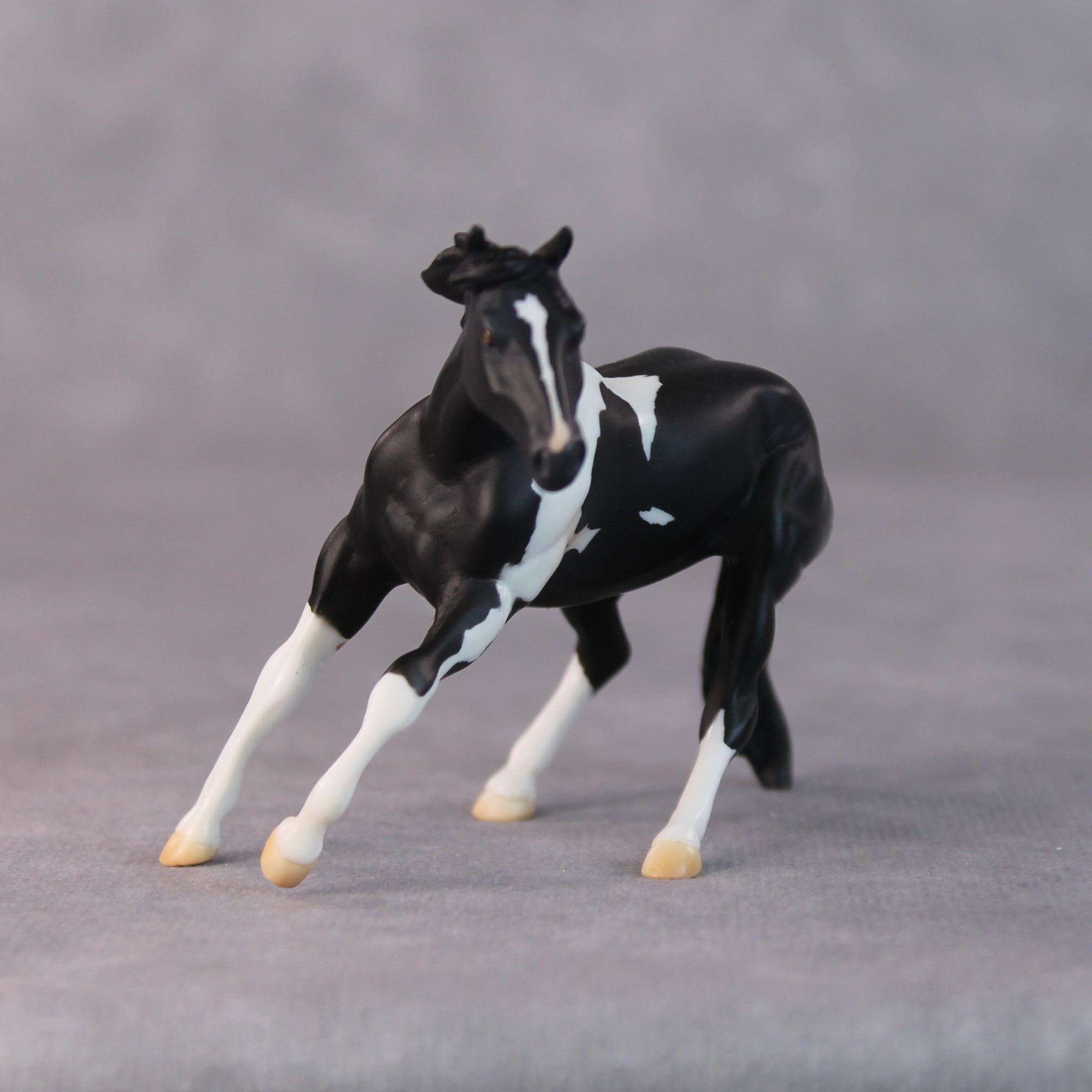 Rhonda OOAK Black Pinto Cutter Chip By Jamie Adamson HS24