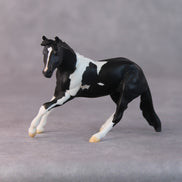 Rhonda OOAK Black Pinto Cutter Chip By Jamie Adamson HS24