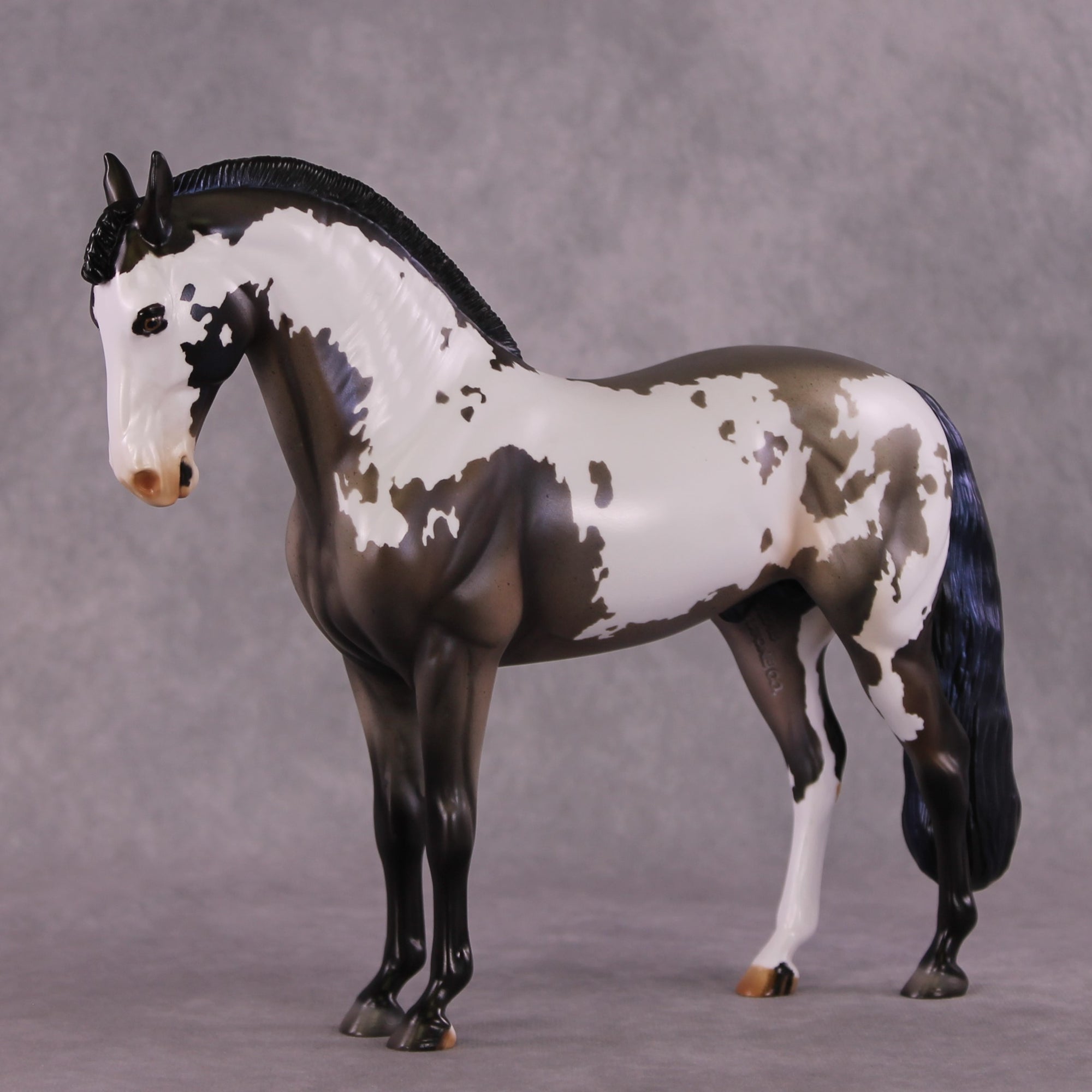 "Ptolemaea" OOAK Andalusian by Julie Keim SHCF25
