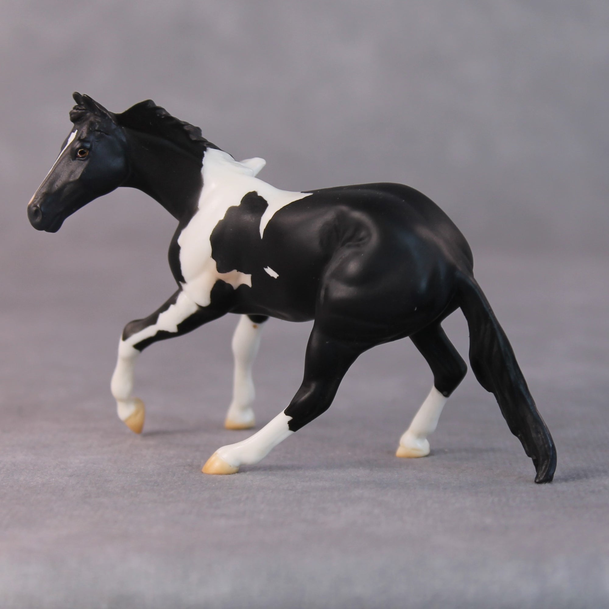 Rhonda OOAK Black Pinto Cutter Chip By Jamie Adamson HS24