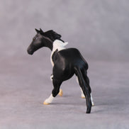 Rhonda OOAK Black Pinto Cutter Chip By Jamie Adamson HS24