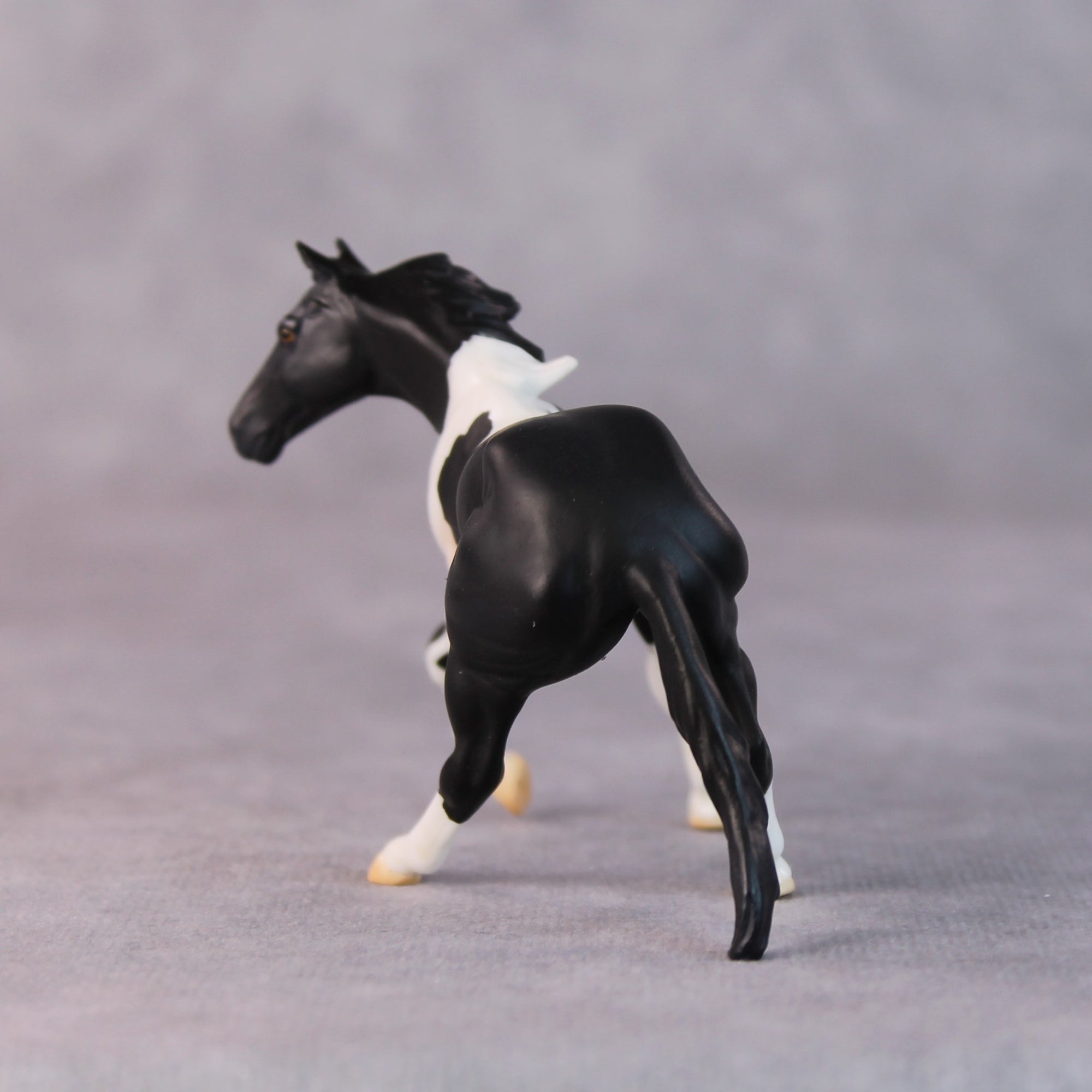 Rhonda OOAK Black Pinto Cutter Chip By Jamie Adamson HS24