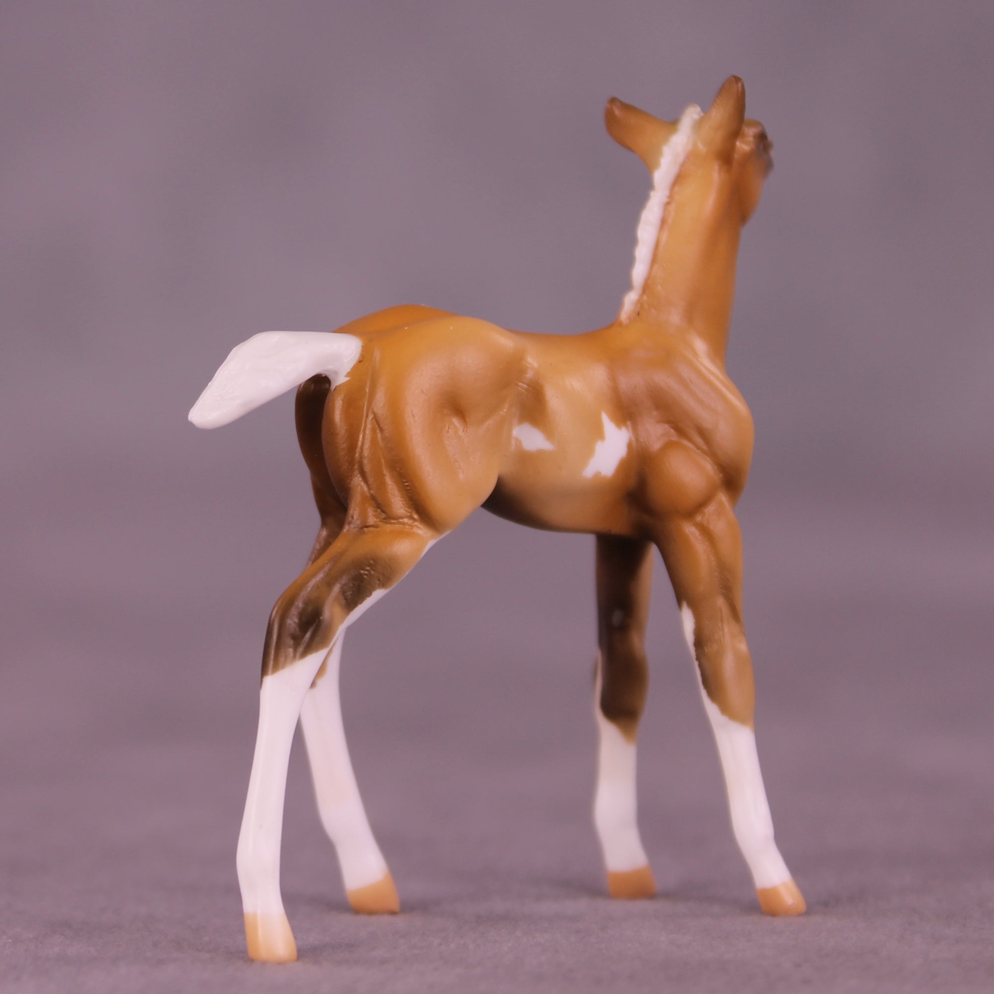 Shortbread LE-5 Chip Foal by Kike (Enrique) Duarte December $99 Chips
