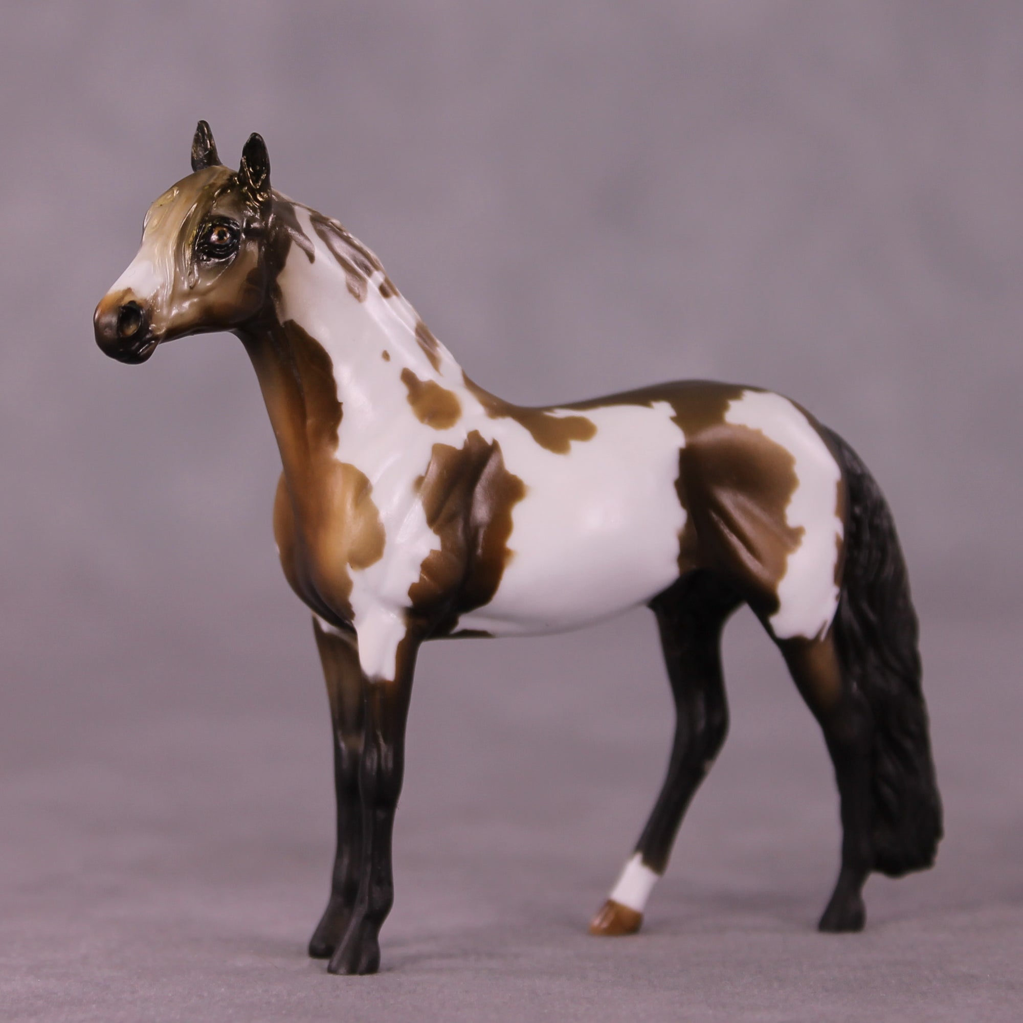 "Cornelius" OOAK Andalusian Chip by Kike Duarte EQ25