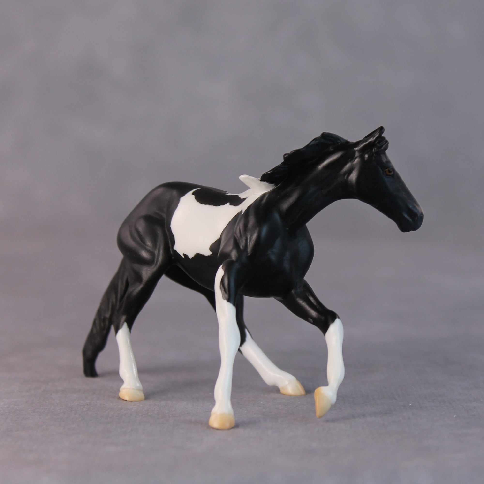 Rhonda OOAK Black Pinto Cutter Chip By Jamie Adamson HS24