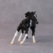 Rhonda OOAK Black Pinto Cutter Chip By Jamie Adamson HS24