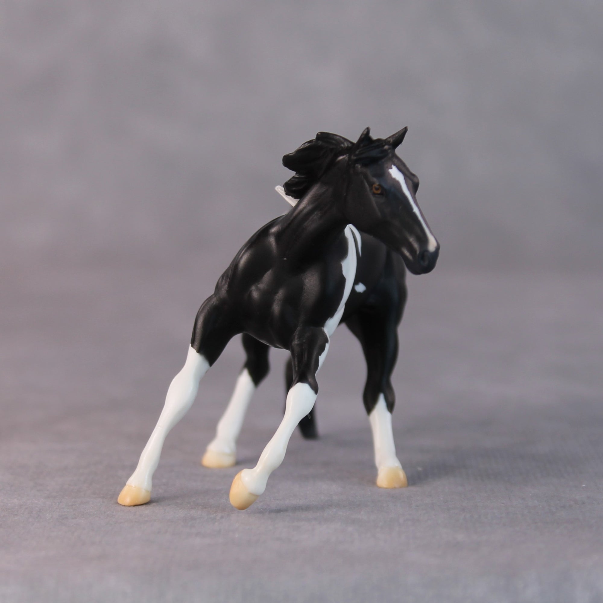 Rhonda OOAK Black Pinto Cutter Chip By Jamie Adamson HS24