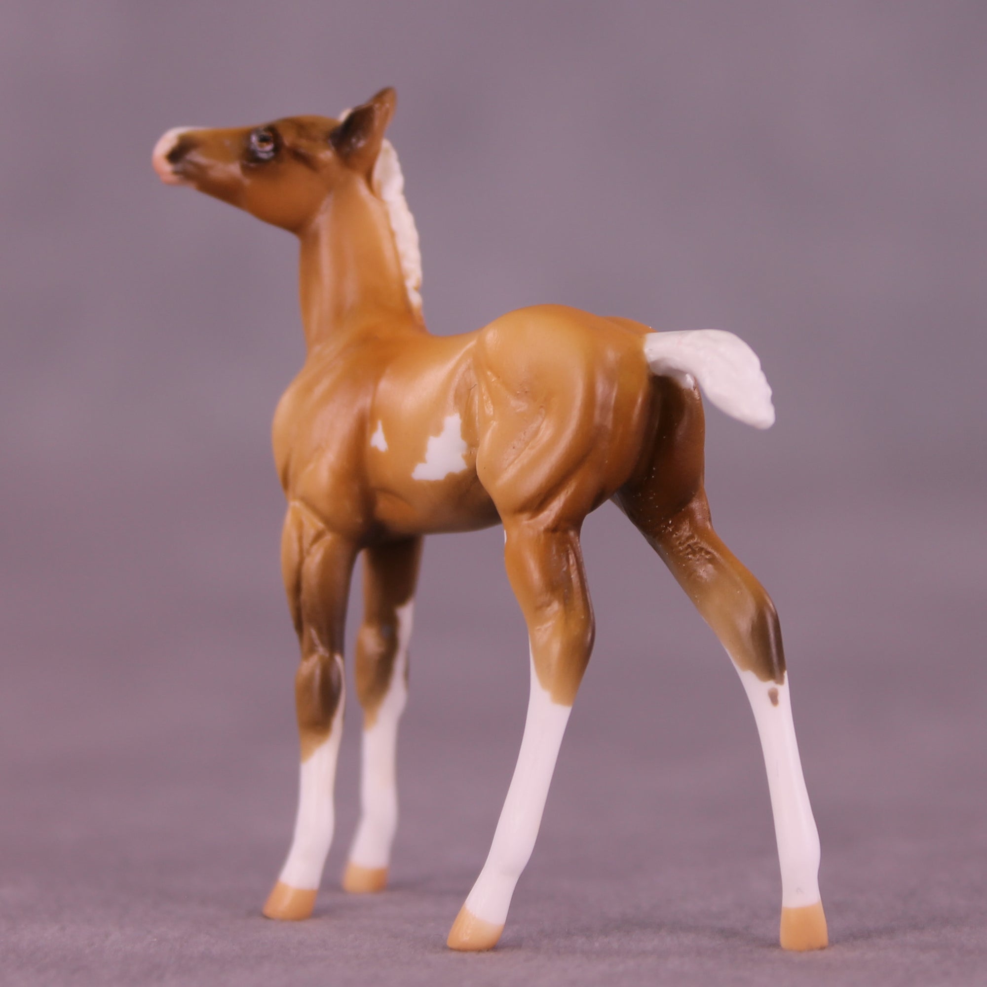 Shortbread LE-5 Chip Foal by Kike (Enrique) Duarte December $99 Chips