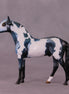 "Rufus" OOAK Andalusian Chip by Kike Duarte EQ25