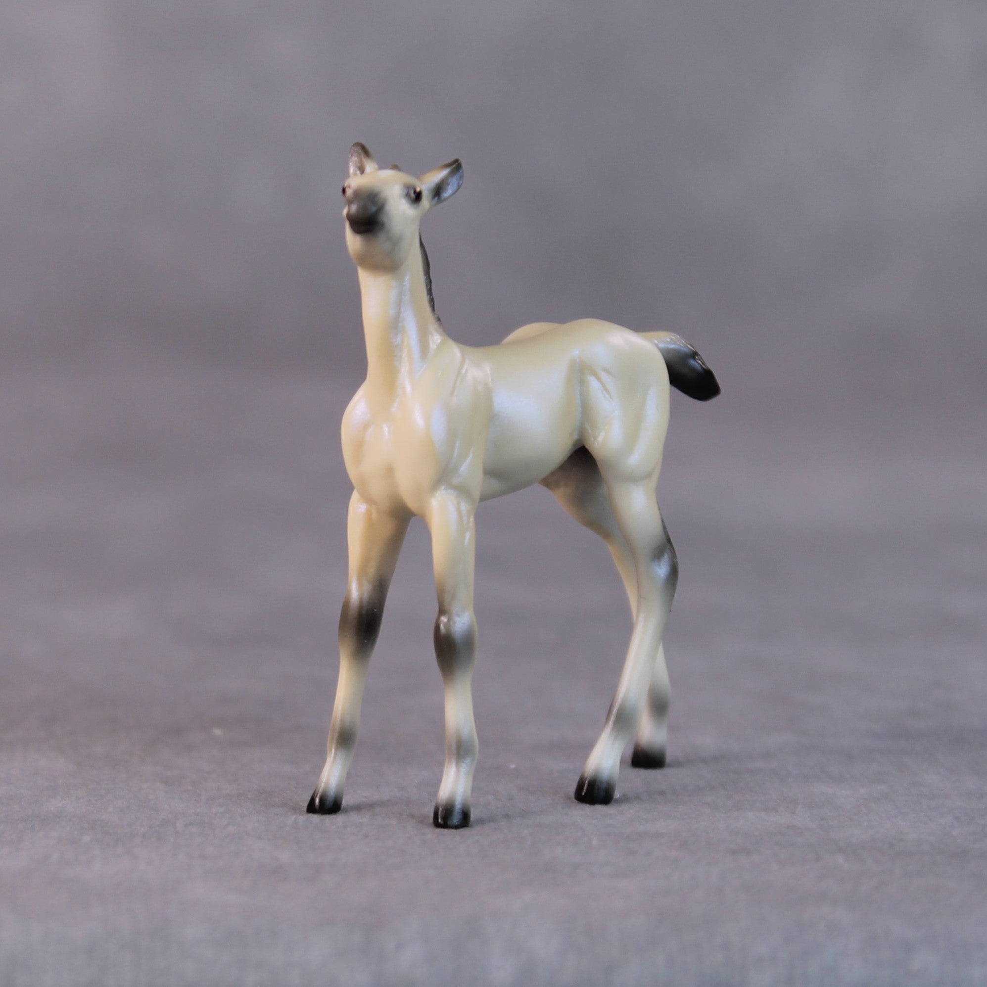 Cindy Lou LE-6 Dappled Dun with Blue Interference Chip Foal Painted By Ellen Robbins HS24