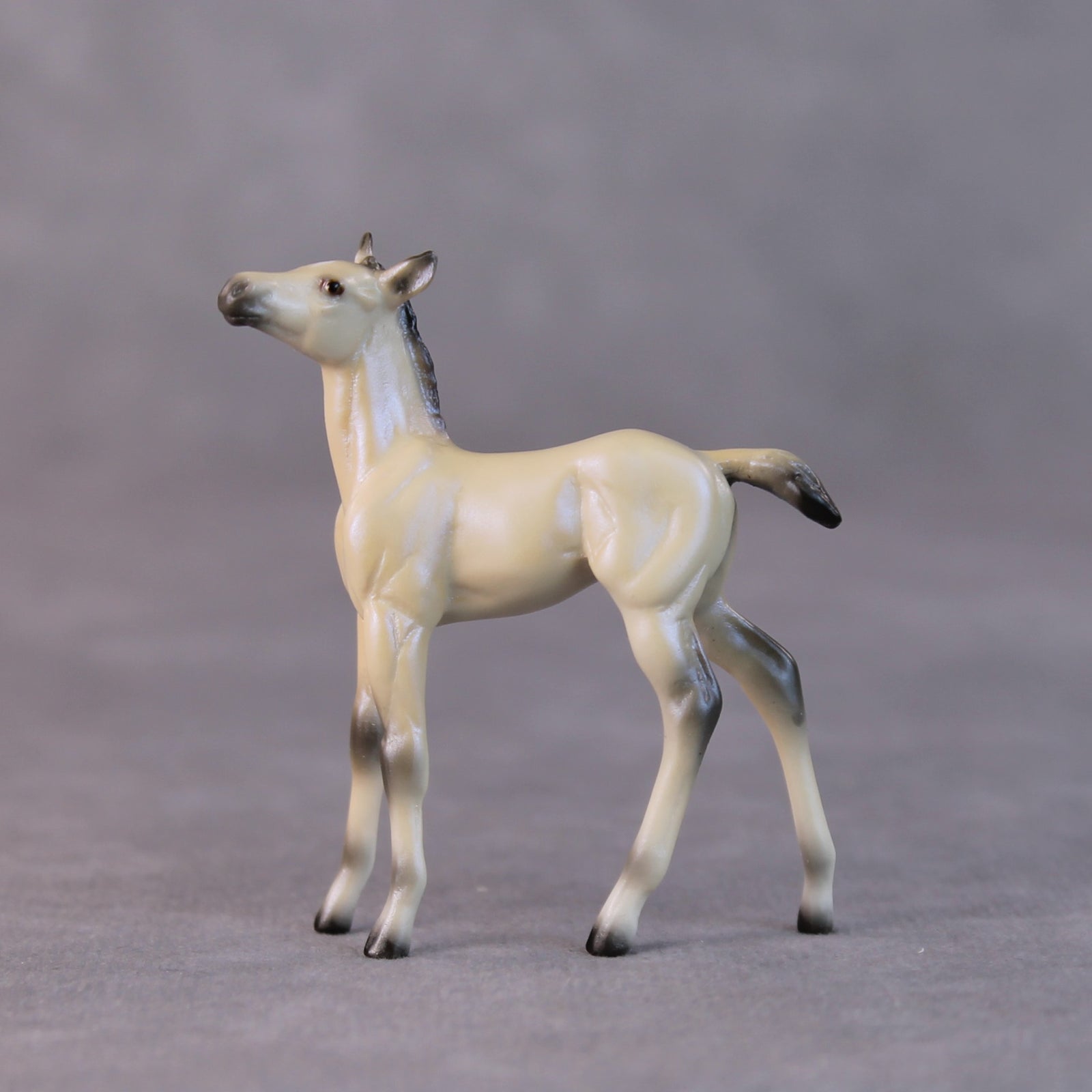 Cindy Lou LE-6 Dappled Dun with Blue Interference Chip Foal Painted By Ellen Robbins HS24