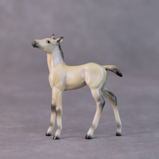 Cindy Lou LE-6 Dappled Dun with Blue Interference Chip Foal Painted By Ellen Robbins HS24