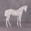 DAH25 Stone Weanling filly with turned head and flipped tail
