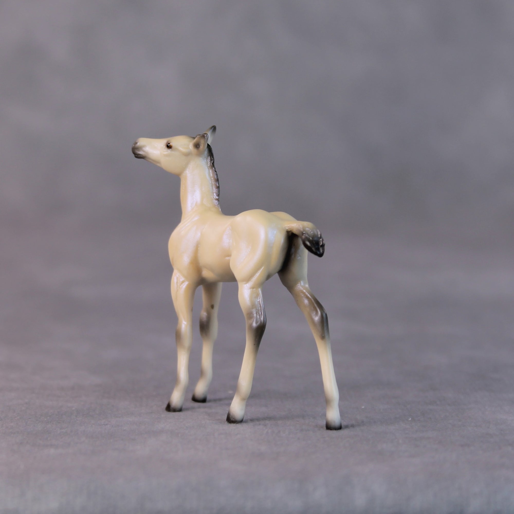 Cindy Lou LE-6 Dappled Dun with Blue Interference Chip Foal Painted By Ellen Robbins HS24