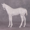 DAH25 Stone Weanling filly with turned head and flipped tail