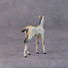 Cindy Lou LE-6 Dappled Dun with Blue Interference Chip Foal Painted By Ellen Robbins HS24