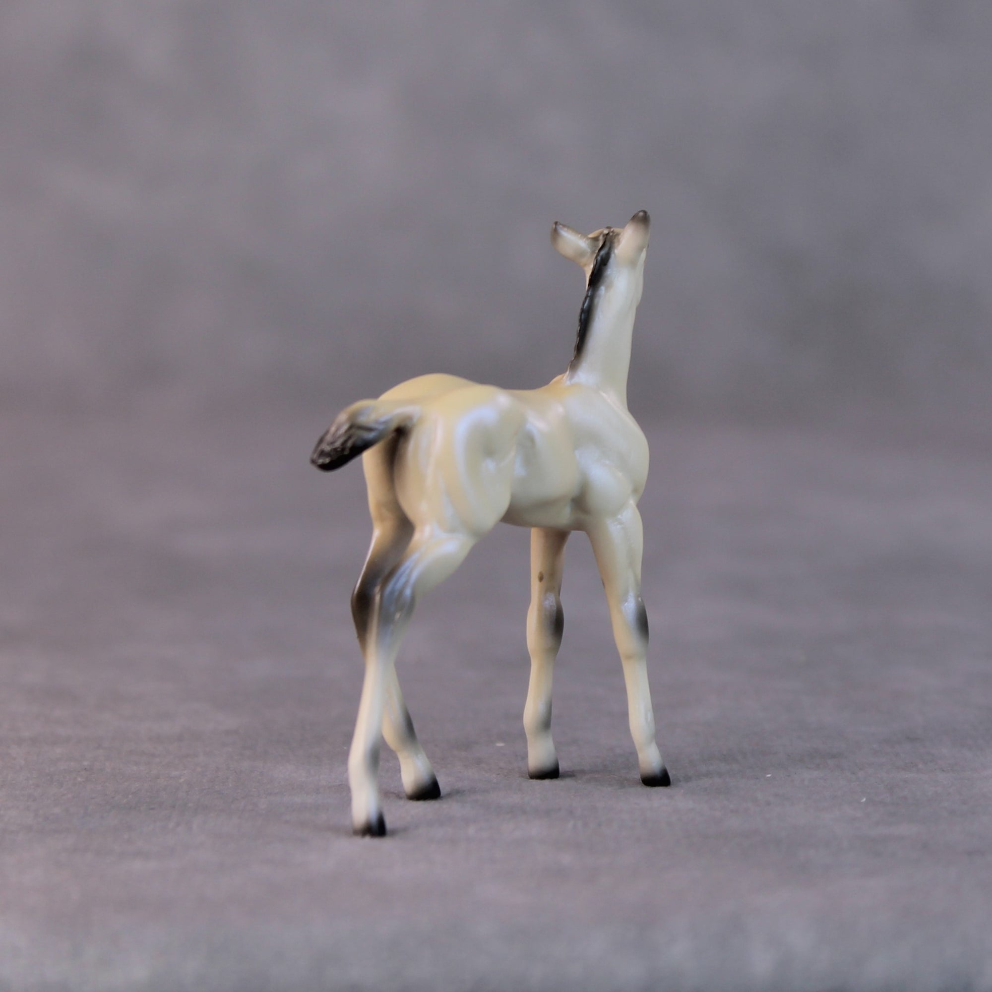 Cindy Lou LE-6 Dappled Dun with Blue Interference Chip Foal Painted By Ellen Robbins HS24