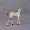 Cindy Lou LE-6 Dappled Dun with Blue Interference Chip Foal Painted By Ellen Robbins HS24
