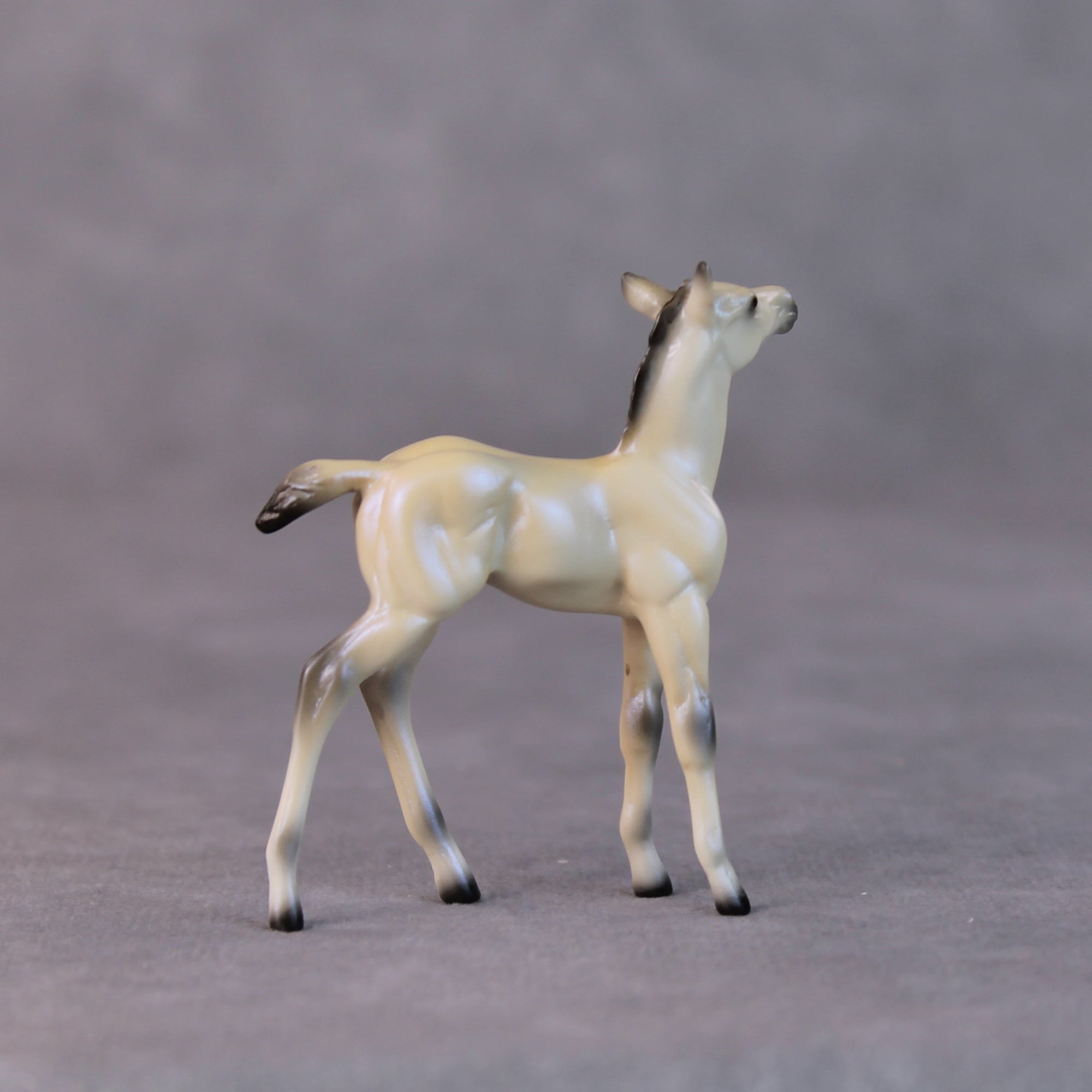 Cindy Lou LE-6 Dappled Dun with Blue Interference Chip Foal Painted By Ellen Robbins HS24