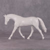 DAH25 Warmblood Pebble - April Release PM168