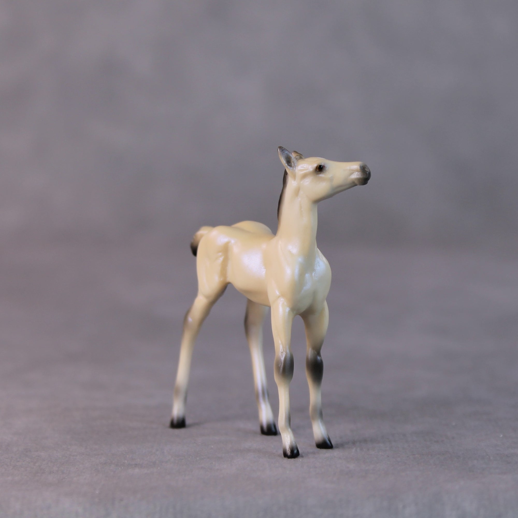 Cindy Lou LE-6 Dappled Dun with Blue Interference Chip Foal Painted By Ellen Robbins HS24