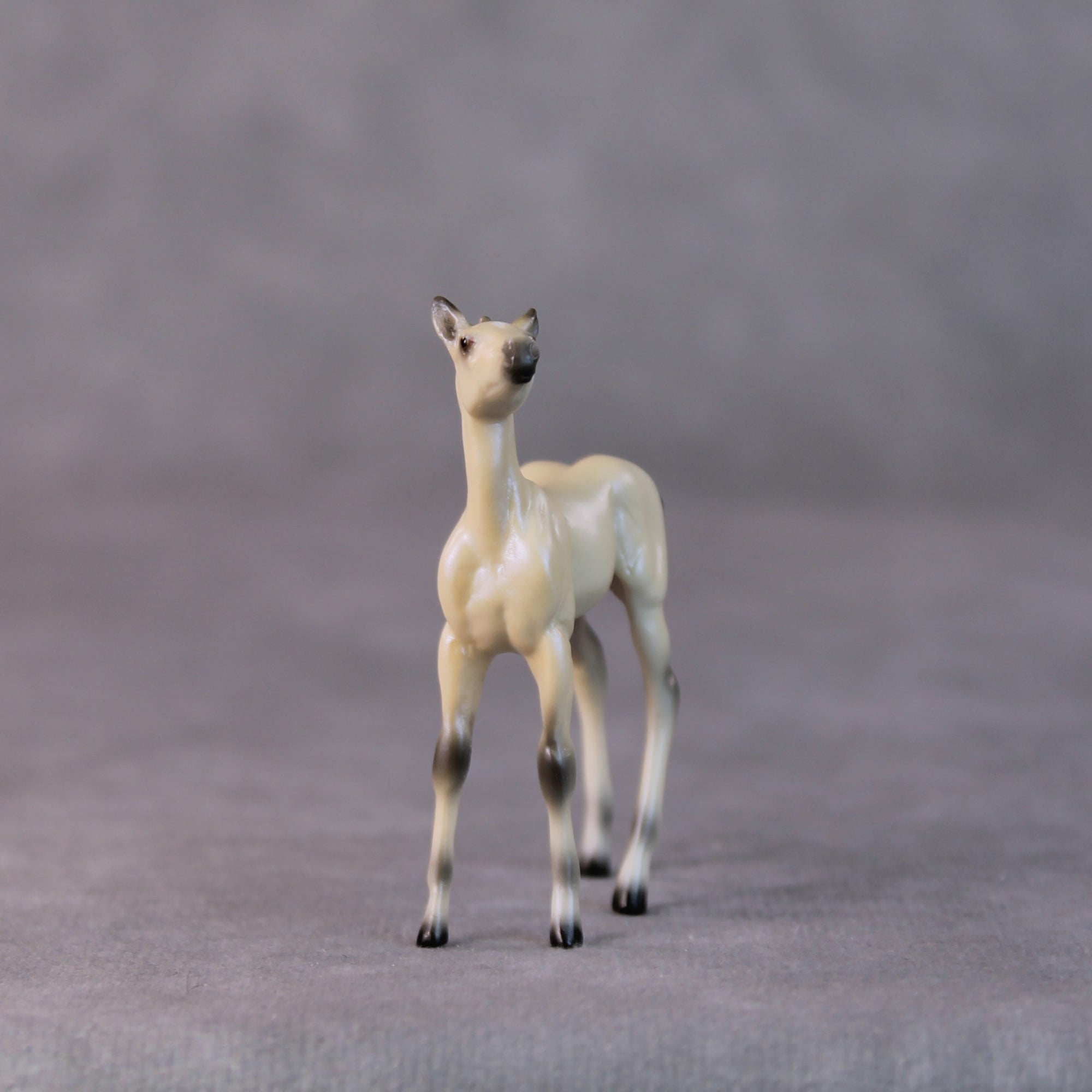 Cindy Lou LE-6 Dappled Dun with Blue Interference Chip Foal Painted By Ellen Robbins HS24