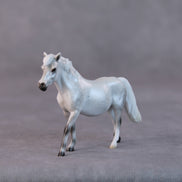Susan LE-5 Light Dapple Pearl Grey Pony Chip By Ellen Robbins HS24
