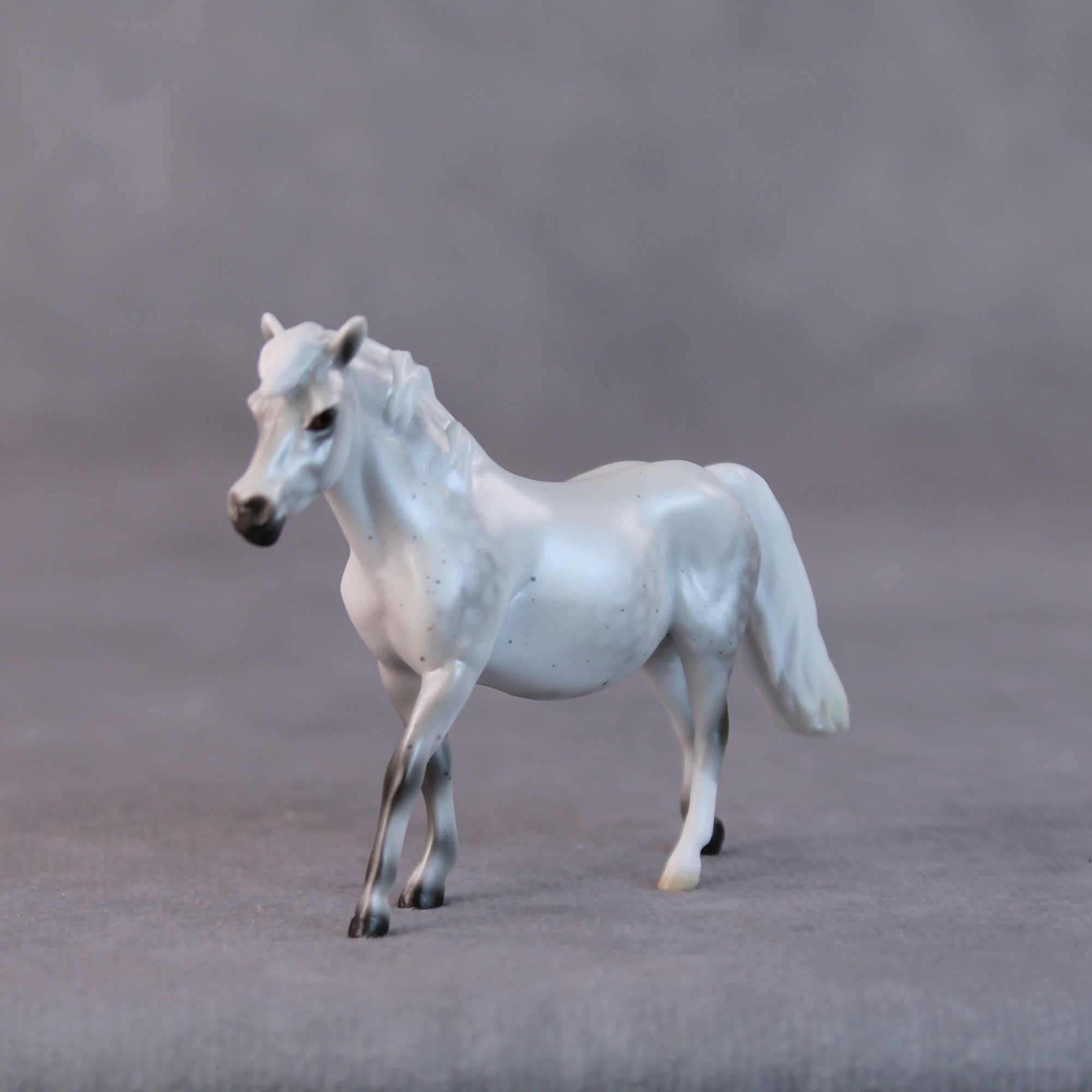 Susan LE-5 Light Dapple Pearl Grey Pony Chip By Ellen Robbins HS24