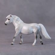 Susan LE-5 Light Dapple Pearl Grey Pony Chip By Ellen Robbins HS24