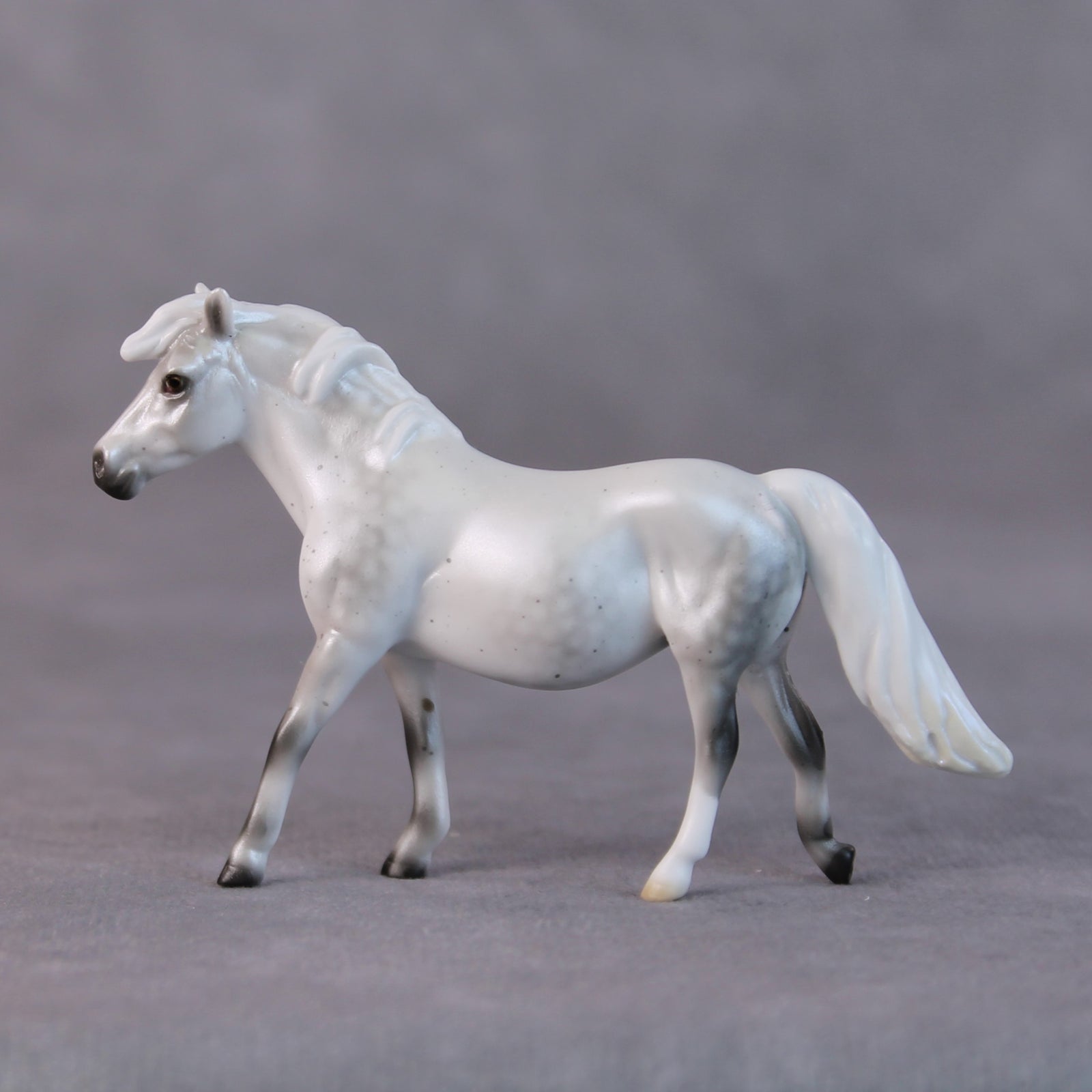 Susan LE-5 Light Dapple Pearl Grey Pony Chip By Ellen Robbins HS24