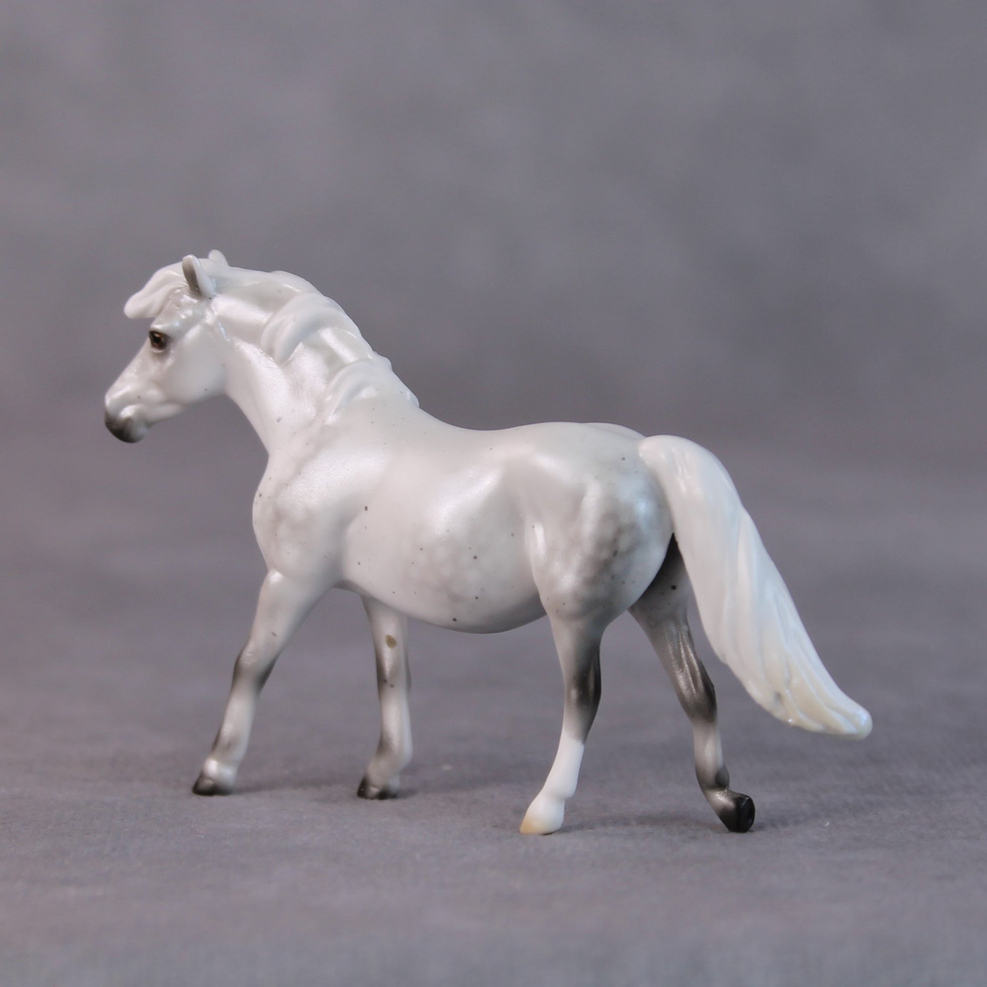 Susan LE-5 Light Dapple Pearl Grey Pony Chip By Ellen Robbins HS24