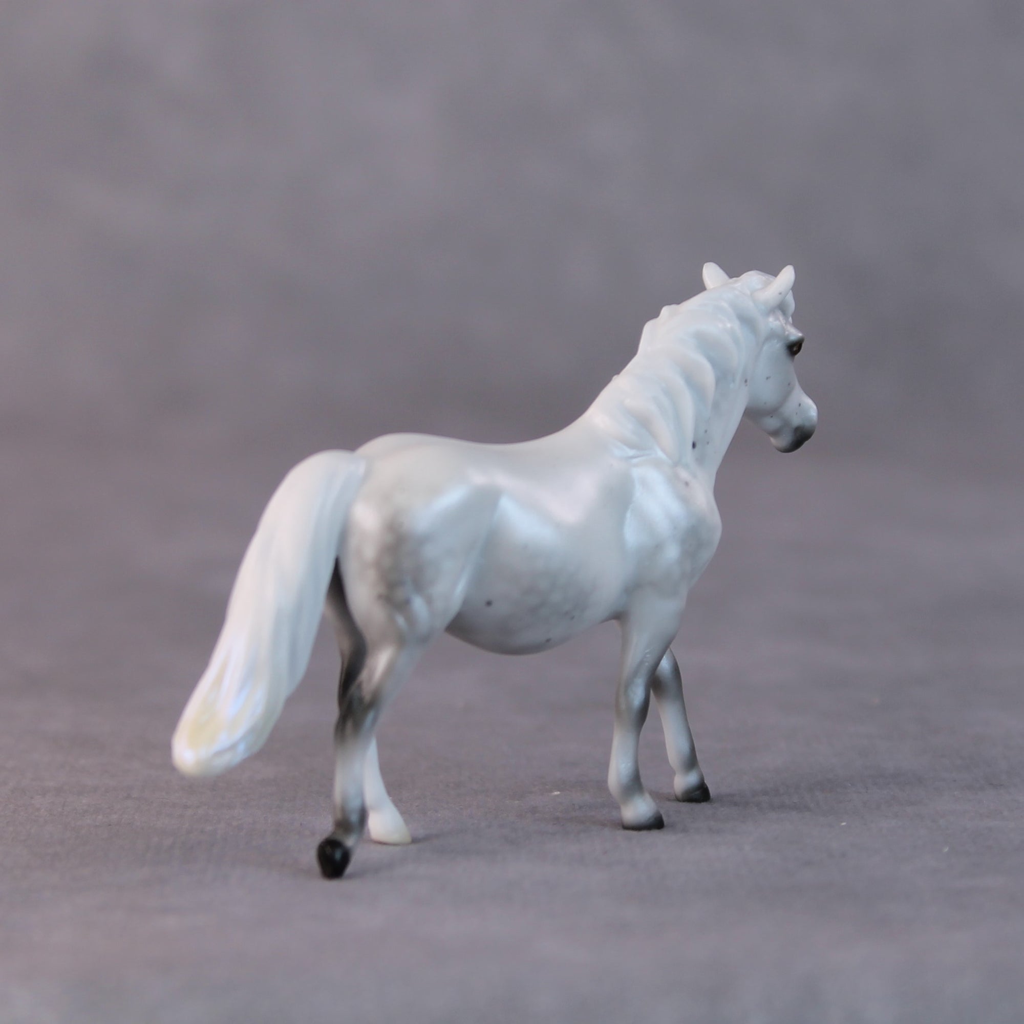 Susan LE-5 Light Dapple Pearl Grey Pony Chip By Ellen Robbins HS24