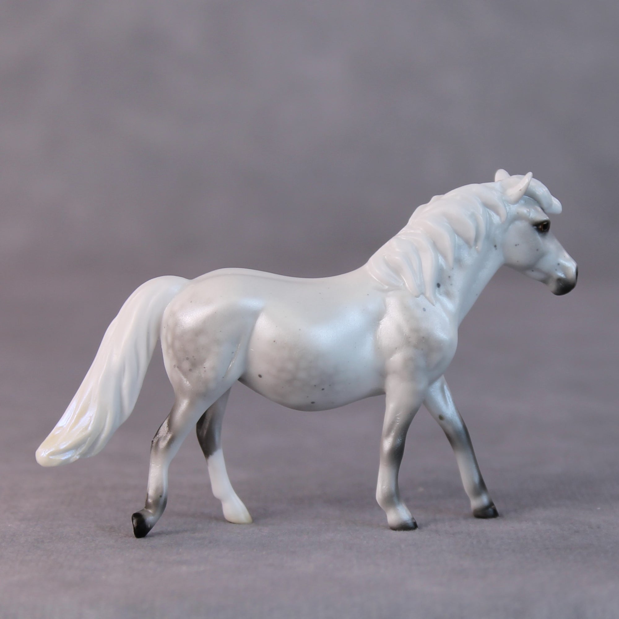 Susan LE-5 Light Dapple Pearl Grey Pony Chip By Ellen Robbins HS24